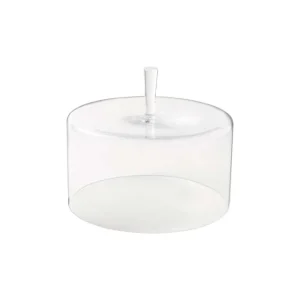 Clearance Casafina Living 12" Glass Dome